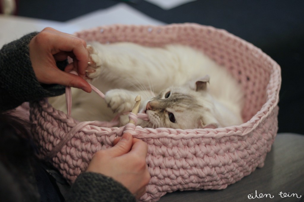 diy-cat-bed-crochet