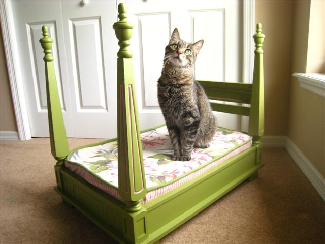 diy-cat-bed