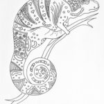 Jewel Chameleon Adult Coloring Page